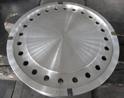 Placa de aço inoxidável de alta qualidade do disco de F51 F55 F91 usada na maquinaria